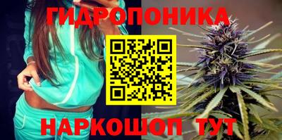 крисы Малоярославец