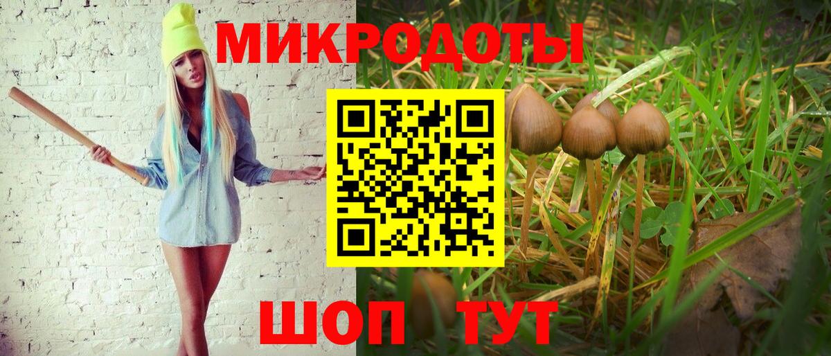 Куйбышев  Галлюциногенные грибы Cubensis  Вход с VPN 