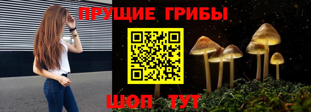 Галлюциногенные грибы Cubensis Куйбышев